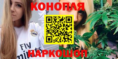 стаф Малгобек