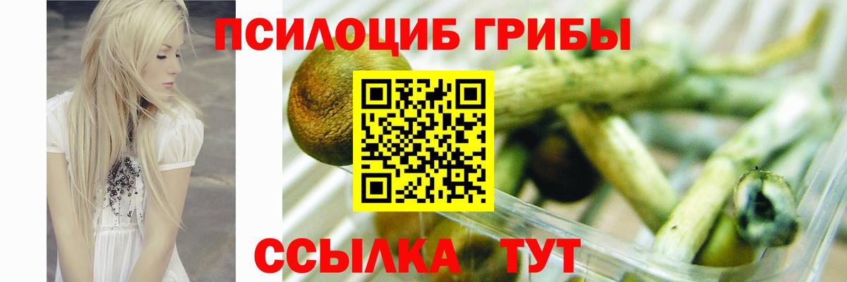 продажа наркотиков  Вход с VPN  Тимашёвск  Псилоцибиновые грибы мухоморы 